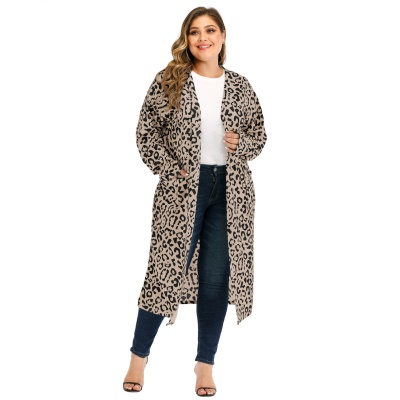 Robe femme imprimé léopard en cachemire français