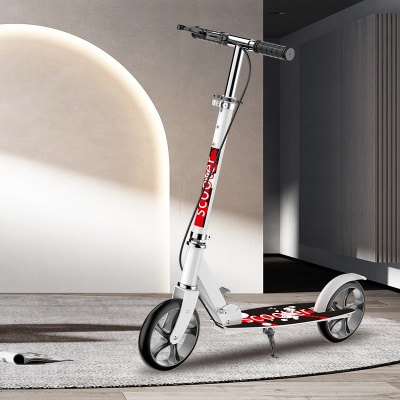 Trotinette  à deux roues pliable