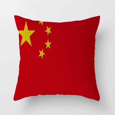 Housse de coussin  drapeau avec imprimé chiffré en lin