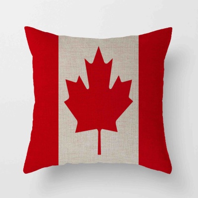 Housse de coussin  drapeau avec imprimé chiffré en lin