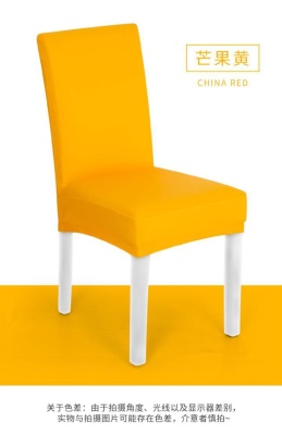 Housse de protection de chaise en cuir PU imperméable couleur unie