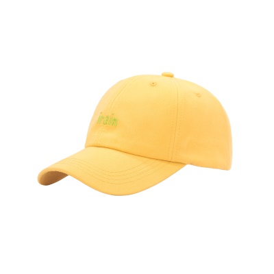 Casquette de baseball à toit courbé