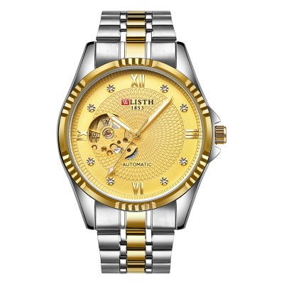 WLISTH montres pour hommes entièrement automatique avec des aiguilles lumineuses mécaniques imperméables