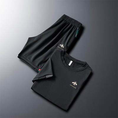 Ensemble de sport pour hommes shorts à manches courtes deux pièces