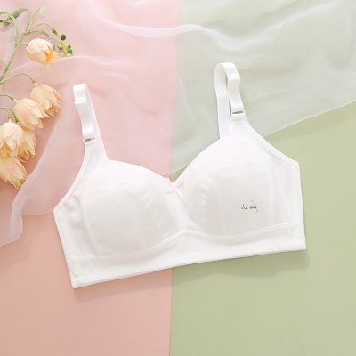 soutien-gorge lingerie coton doux respirant fixation double bandoulière