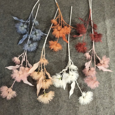 Ornements de décoration pour la maison