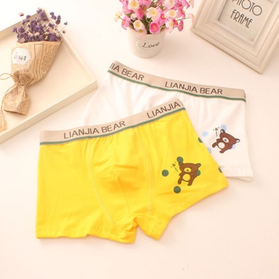Boxer en coton pour les petits et les grands culottes