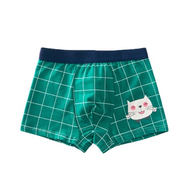 Ensemble de caleçons en coton pour enfants