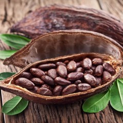 Fèves de cacao