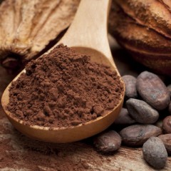 Poudre de cacao