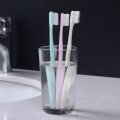 Brosse à dents Boite de 10 pieces
