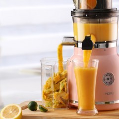 Presse-agrumes domestique et extracteur de jus grande capacité