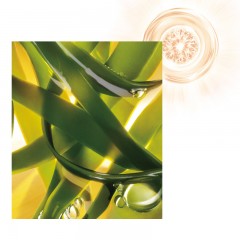 Masque femme hydratant