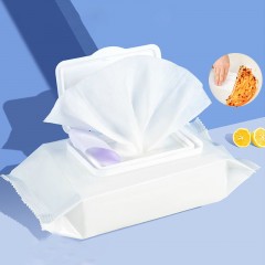 Lingettes hygiéniques domestiques