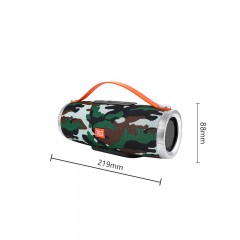 Haut-parleur Bluetooth portable