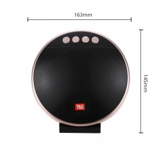 Haut-parleur bluetooth TWS  haut de gammeTWS