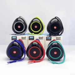 Mini Haut-parleur Bluetooth portable