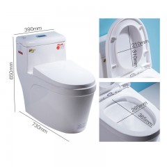 Toilette monobloc en céramique, silencieux, système de désinfection automatique