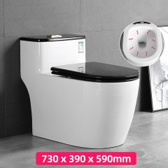 Siège Toilette Siphon silencieux en céramique
