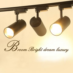 Spot lumineux à  LED  blanche