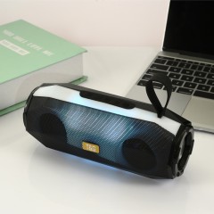Mini Haut-parleur Bluetooth portable