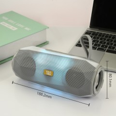 Mini Haut-parleur Bluetooth portable