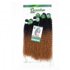 Mèches humaines avec cheveux bouclés de couleur gradient
