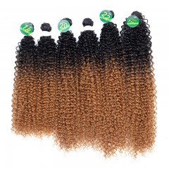 Mèches humaines avec cheveux bouclés de couleur gradient