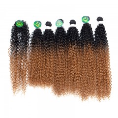 Mèches humaines avec cheveux bouclés de couleur gradient