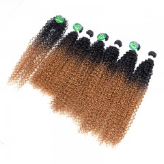 Mèches humaines avec cheveux bouclés de couleur gradient