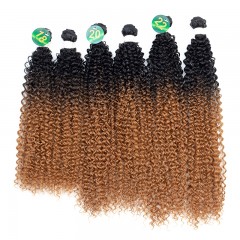 Mèches humaines avec cheveux bouclés de couleur gradient