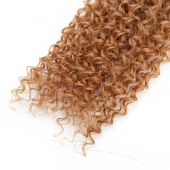 Mèches humaines avec cheveux bouclés de couleur gradient