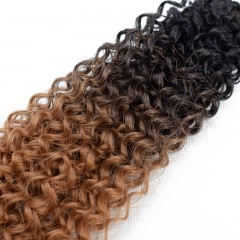 Mèches humaines avec cheveux bouclés de couleur gradient