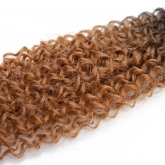 Mèches humaines avec cheveux bouclés de couleur gradient