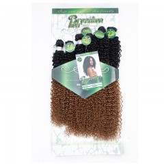 Mèches humaines avec cheveux bouclés de couleur gradient