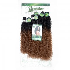 Mèches humaines avec cheveux bouclés de couleur gradient