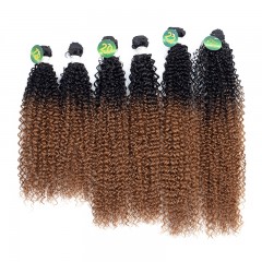 Mèches humaines avec cheveux bouclés de couleur gradient