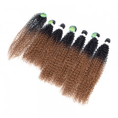 Mèches humaines avec cheveux bouclés de couleur gradient