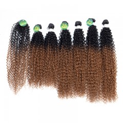 Mèches humaines avec cheveux bouclés de couleur gradient
