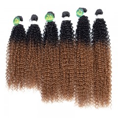 Mèches humaines avec cheveux bouclés de couleur gradient