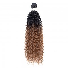 Mèches humaines avec cheveux bouclés de couleur gradient
