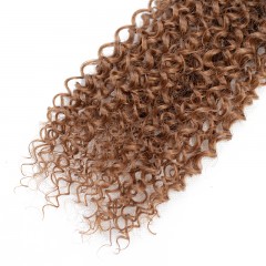Mèches humaines avec cheveux bouclés de couleur gradient