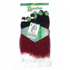 Mèches humaines avec cheveux bouclés de couleur gradient