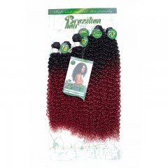 Mèches humaines avec cheveux bouclés de couleur gradient
