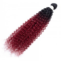 Mèches humaines avec cheveux bouclés de couleur gradient