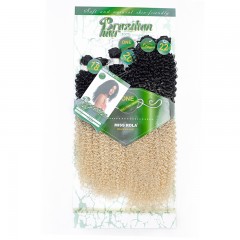 Mèches humaines avec cheveux bouclés deux tons