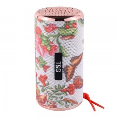 Bluetooth audio Haut-parleur stéréo portable