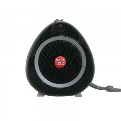 Mini Haut-parleur Bluetooth portable