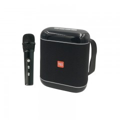 Enceintes Portables Bluetooth avec Microphone à karaoké