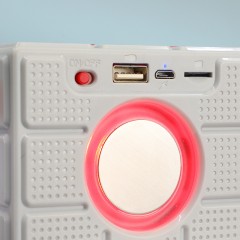 Haut-parleur Bluetooth portable
